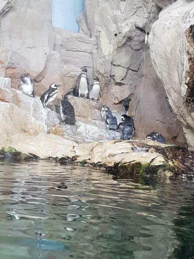 Al Borgo Di Priaruggia Villa Genoa Luaran gambar